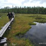 Duus_silmäsuolla Duus_silmäsuolla