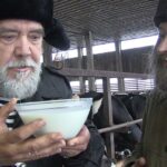 Mitja Minjai ja maito Mitja Minjai ja maito