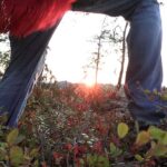 air guitar sunset0 Tomi Laurikainen in Celery