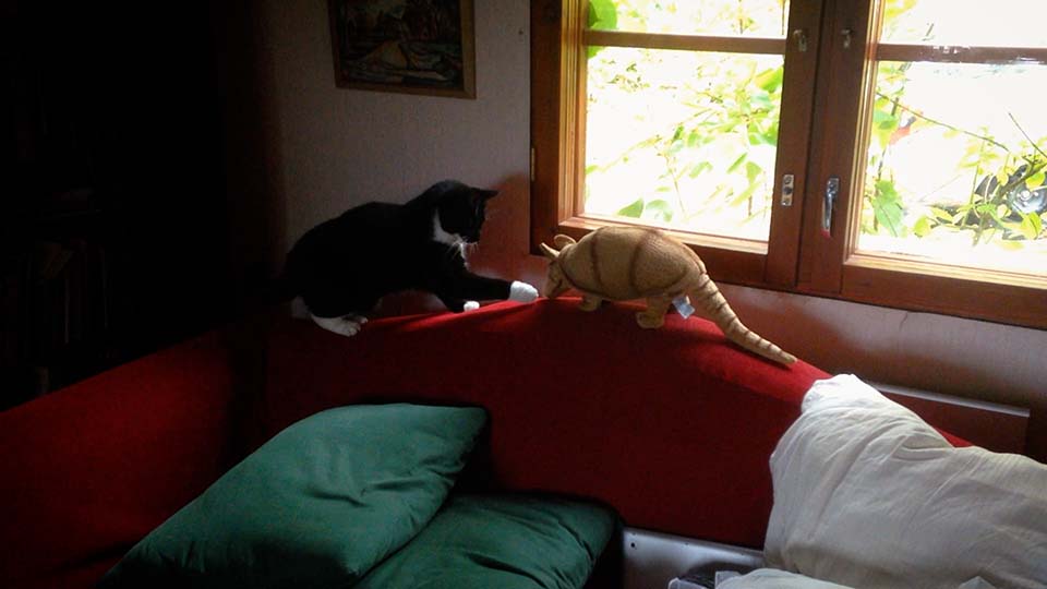 kaisa ja vyötiäinen