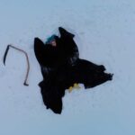 Reaper (Mylène Meursault) making snow angels, The Carousel of Progress