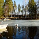 mikko ja pyry mikko ja pyry