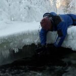 mikko palokissa mikko palokissa