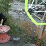 sari ja lankakerä lähis0 Sari Linna in Celery