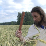 tomppa pellossa0 tomppa pellossa0